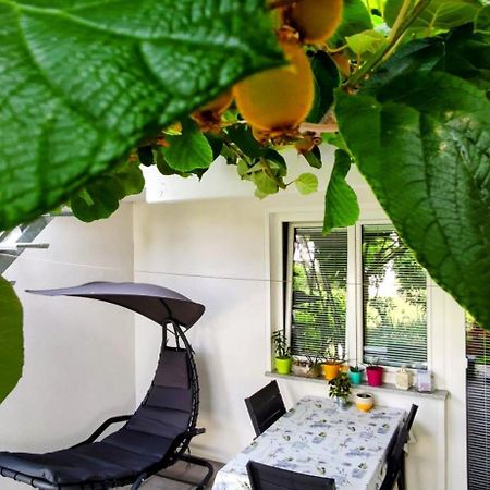 Apartma Dessa 포르토로즈 외부 사진